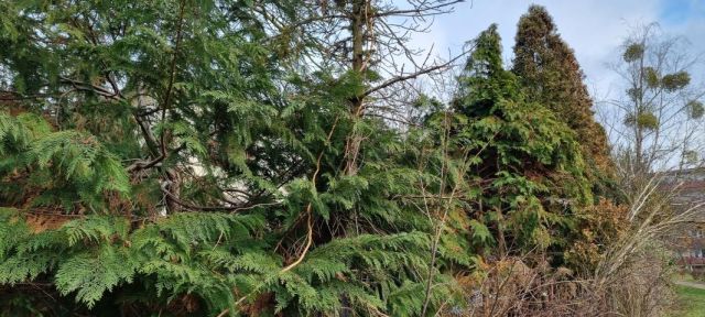 dom wolnostojący, 4 pokoje Pruszków. Zdjęcie 8