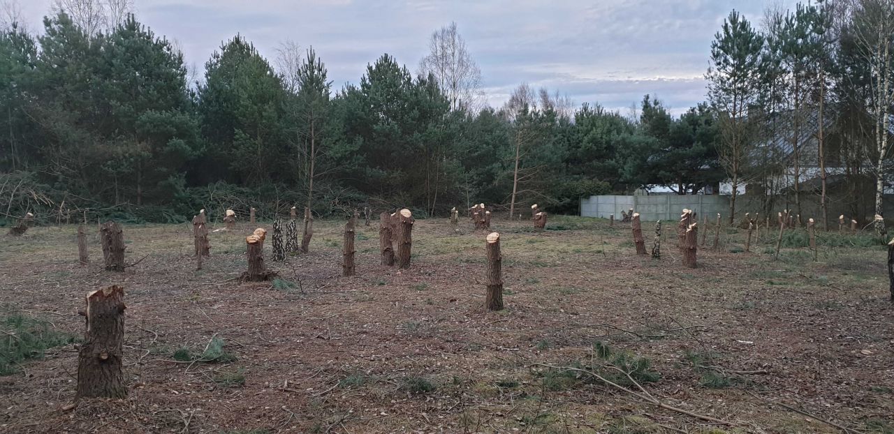 Działka budowlana Skórka. Zdjęcie 6