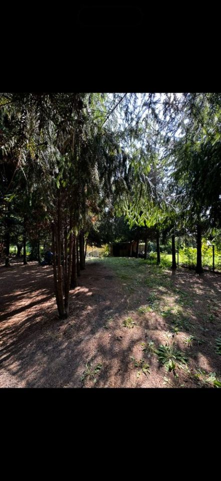 Działka rod Warszawa Targówek, ul. Tarnogórska. Zdjęcie 2