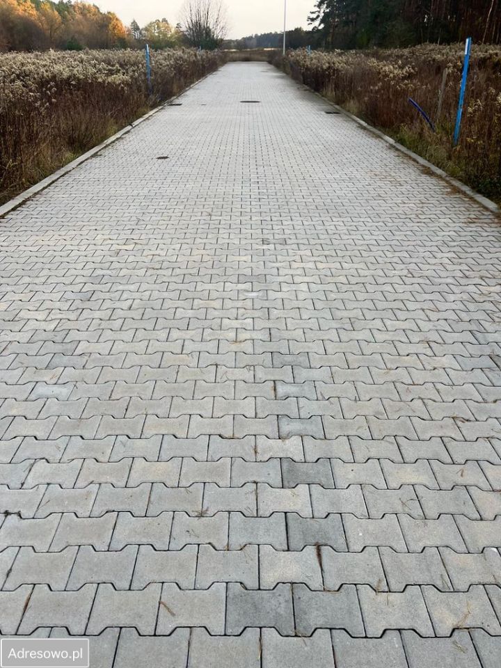 Działka budowlana Zarośle Cienkie. Zdjęcie 9