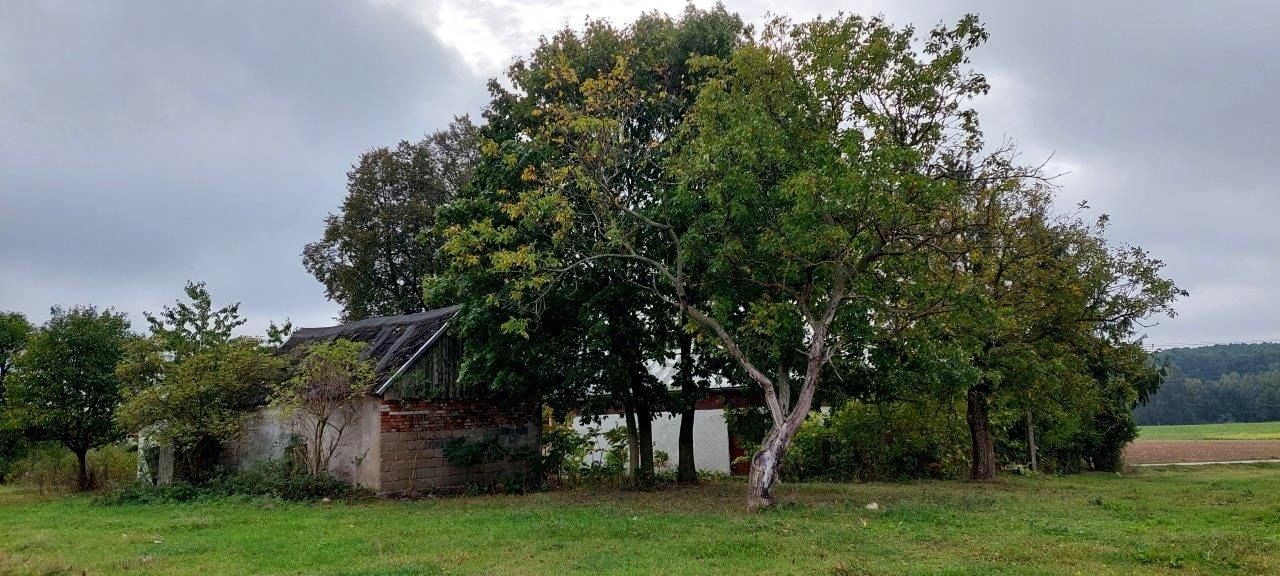 dom wolnostojący, 2 pokoje Somsiory. Zdjęcie 4