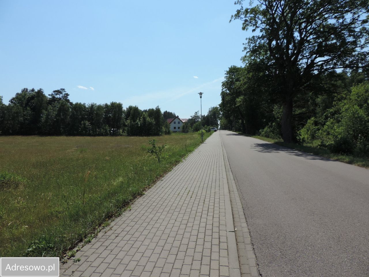 Działka rolno-budowlana Wyszewo. Zdjęcie 7