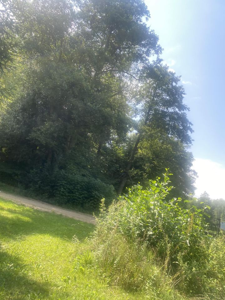 Działka siedliskowa Wola Wodyńska. Zdjęcie 2