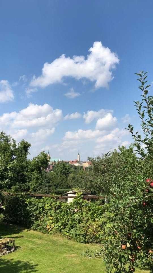 Działka rod Prudnik. Zdjęcie 3