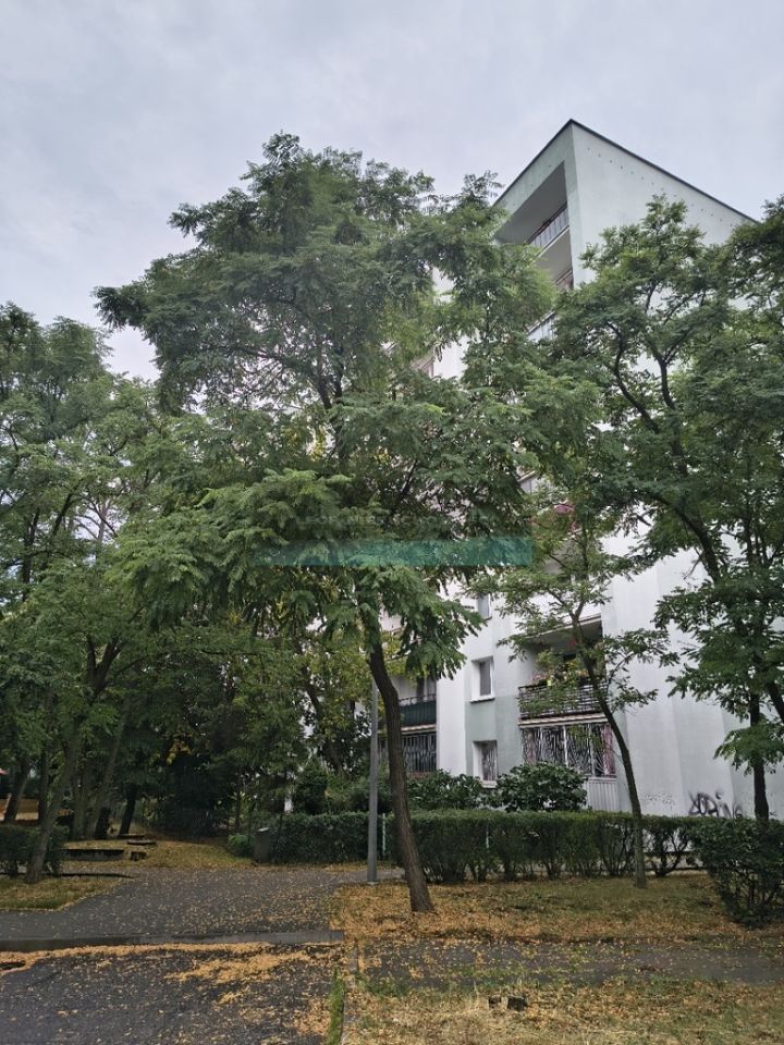 Mieszkanie 1-pokojowe Legionowo Centrum, ul. Jerzego Siwińskiego. Zdjęcie 14