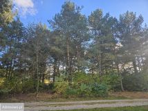 Działka budowlana Bechcice-Wieś. Zdjęcie 4