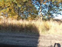 Działka budowlana Warszawa Wawer, Borowiecka. Zdjęcie 2