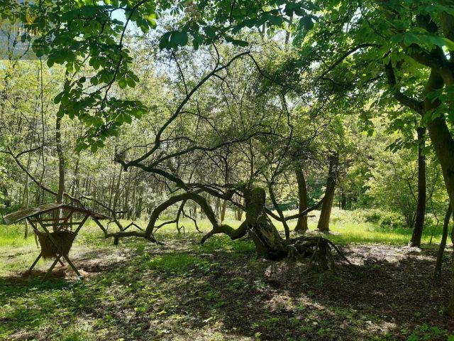 inny, 3 pokoje Luciny. Zdjęcie 12