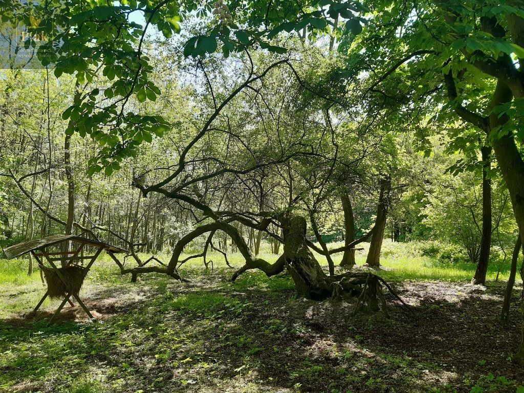 inny, 3 pokoje Luciny. Zdjęcie 12