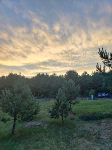 Działka budowlana Pąchy, Pąchy. Zdjęcie 1