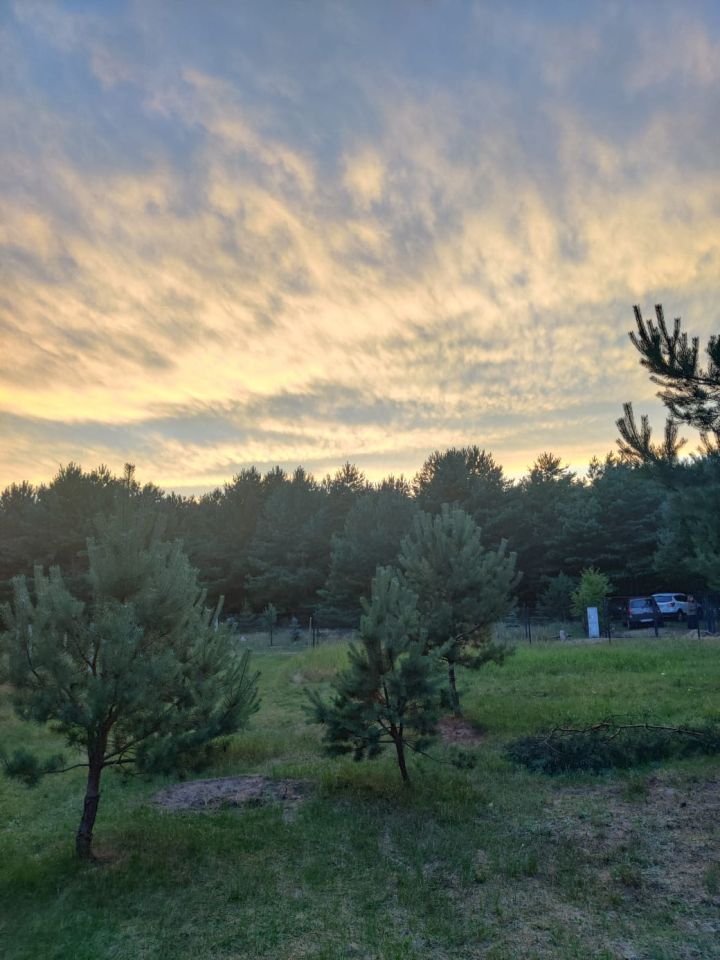 Działka budowlana Pąchy, Pąchy. Zdjęcie 1