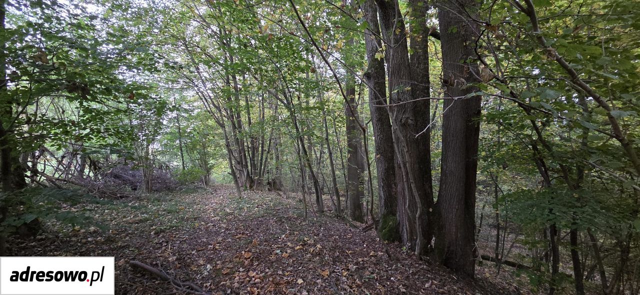 Działka budowlana Kraków Swoszowice. Zdjęcie 9