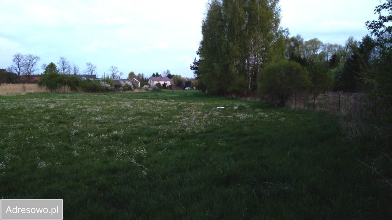 Działka rolno-budowlana Górki. Zdjęcie 9