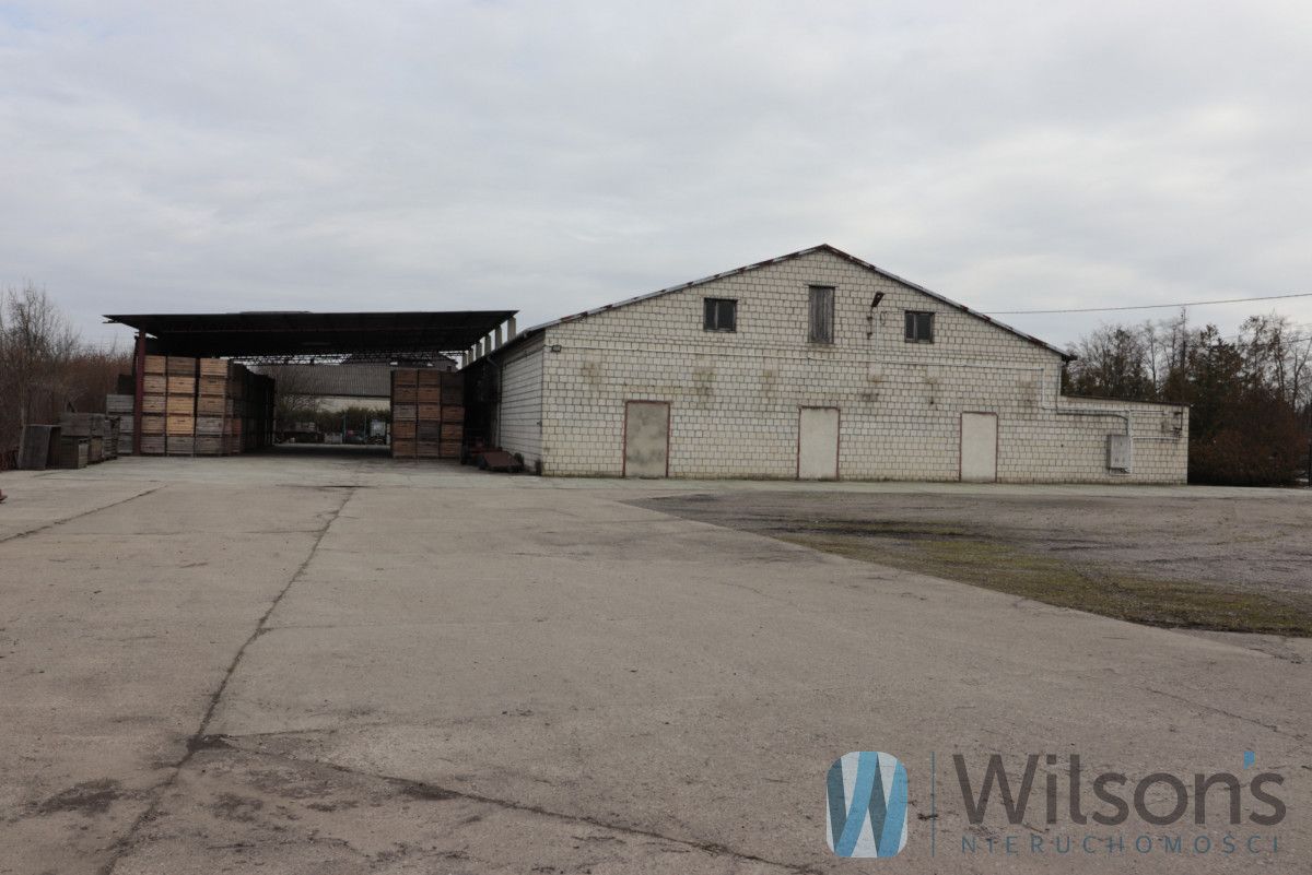 Hala/magazyn Grójec, ul. Warecka