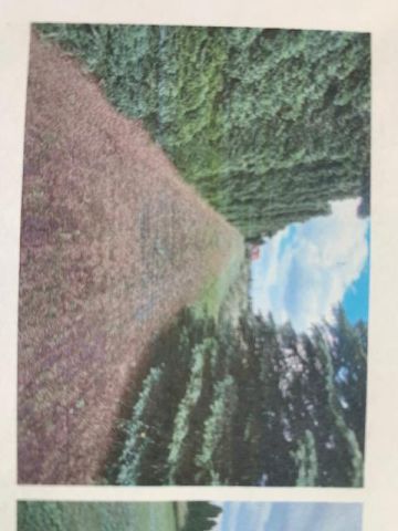 Działka budowlana Bochnia Smyków, ul. Smyków. Zdjęcie 1