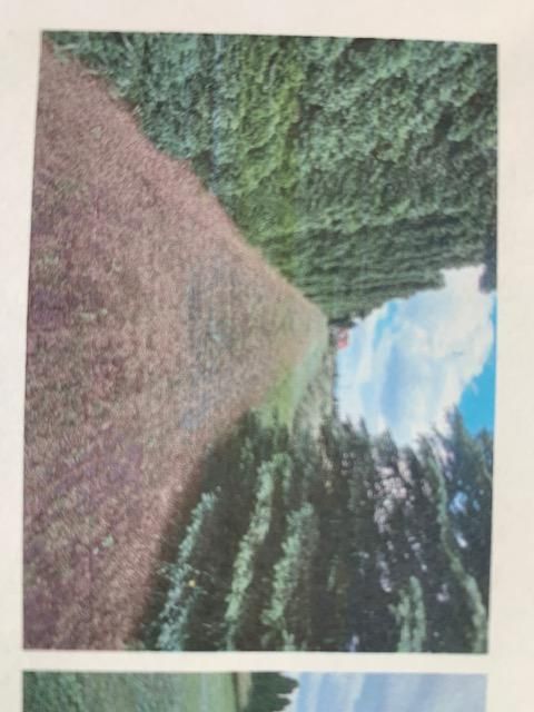 Działka budowlana Bochnia Smyków, ul. Smyków