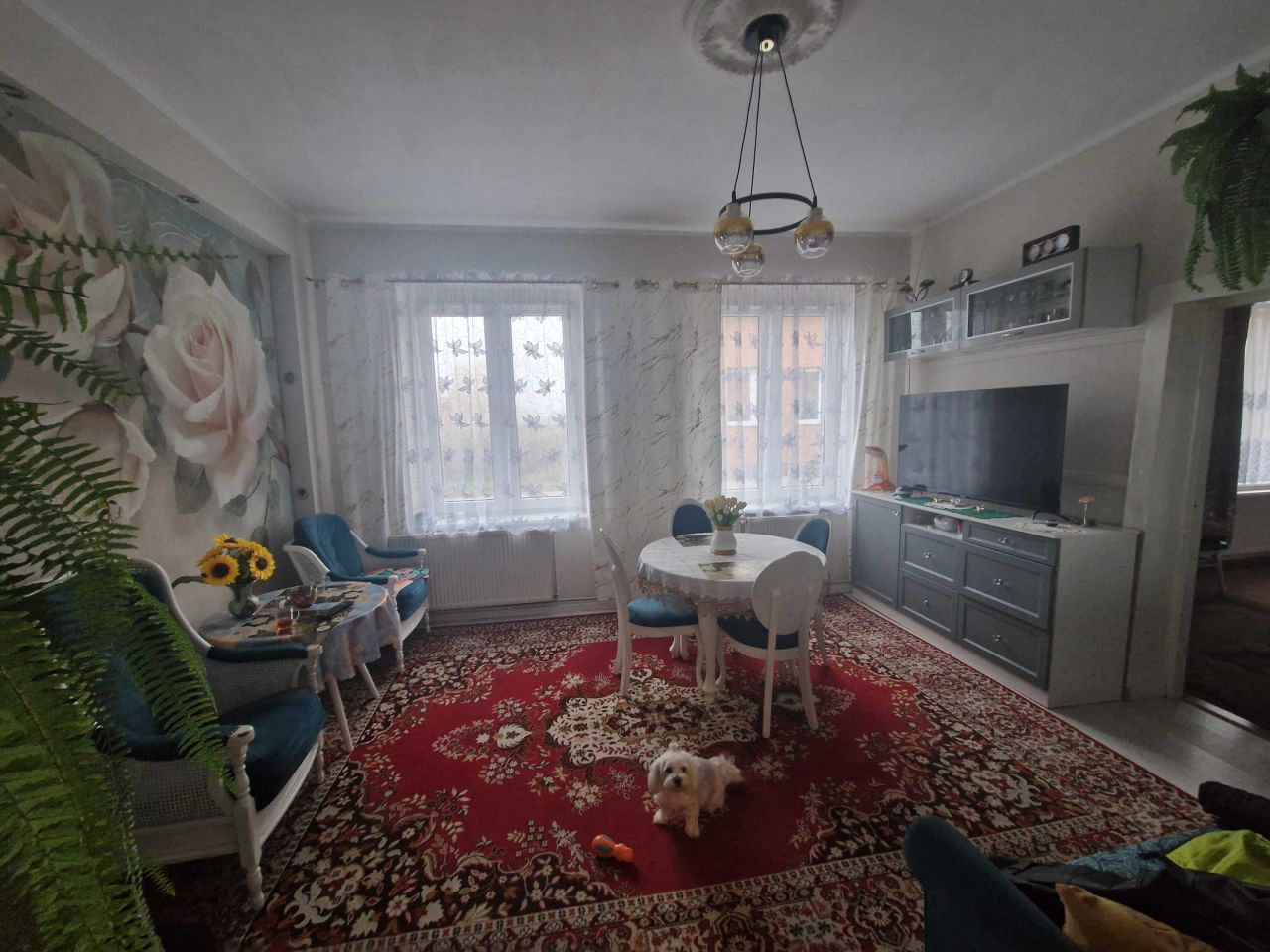 dom wolnostojący Strzelno. Zdjęcie 3