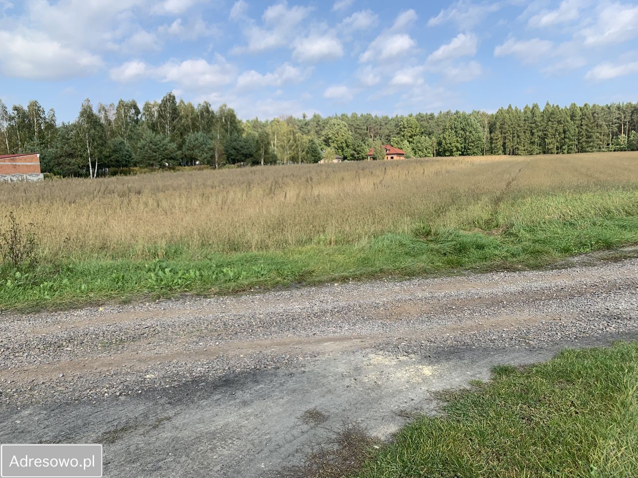 Działka budowlana Twarda. Zdjęcie 2