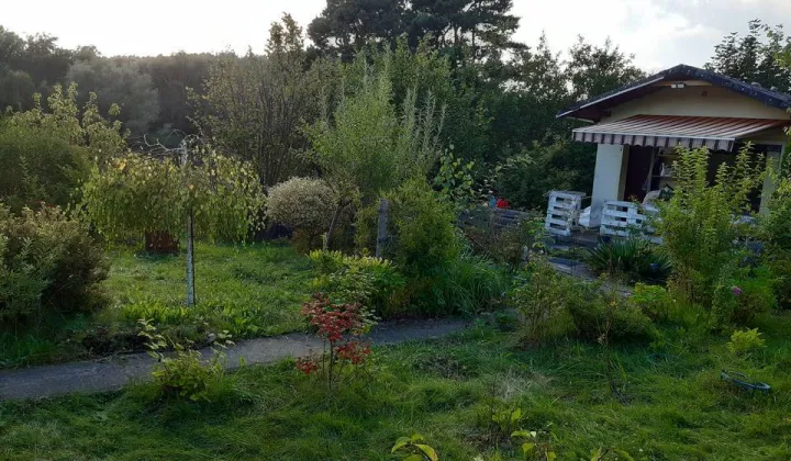 Działka rod Gdańsk Morena