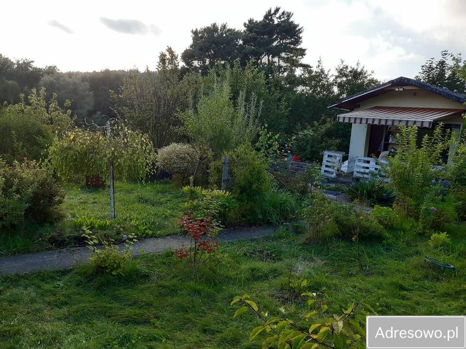 Działka rod Gdańsk Morena. Zdjęcie 1