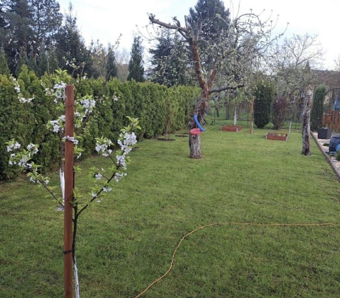 Działka rekreacyjna Szczecin Gumieńce, ul. Przygodna. Zdjęcie 5