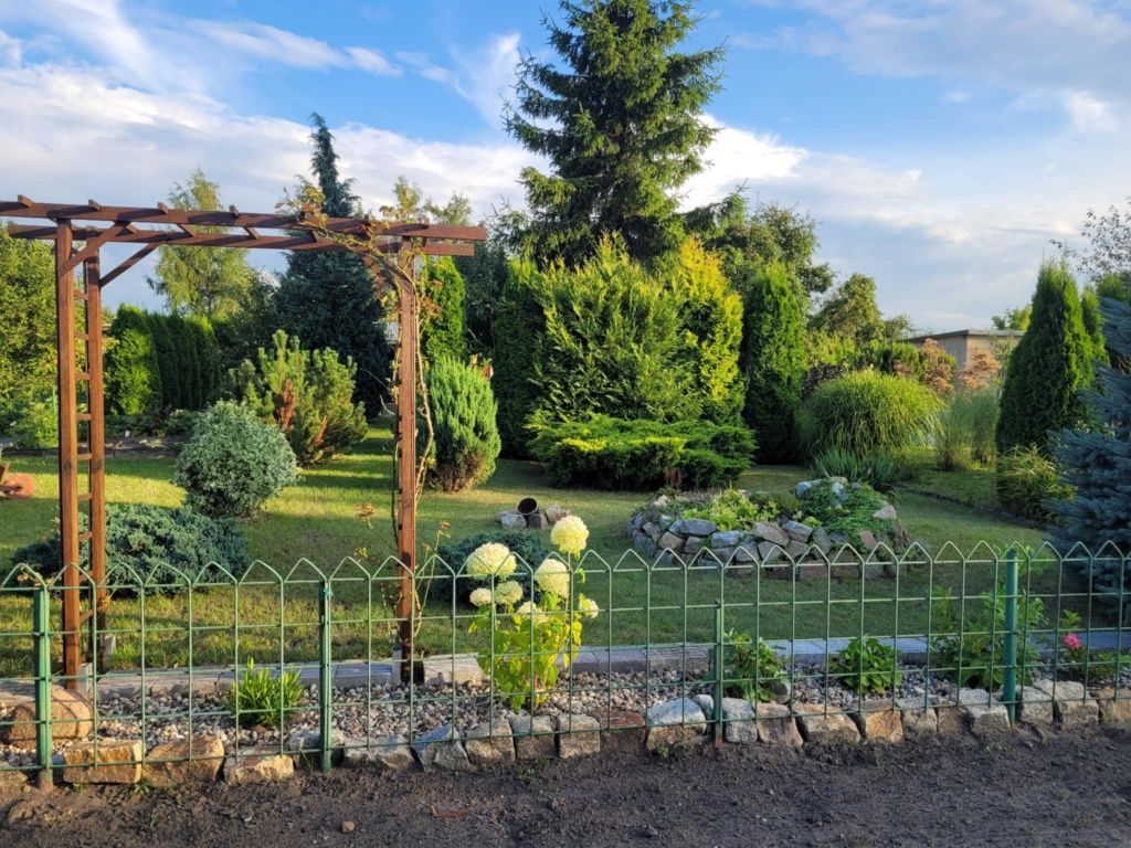 Działka rod Rawicz. Zdjęcie 8