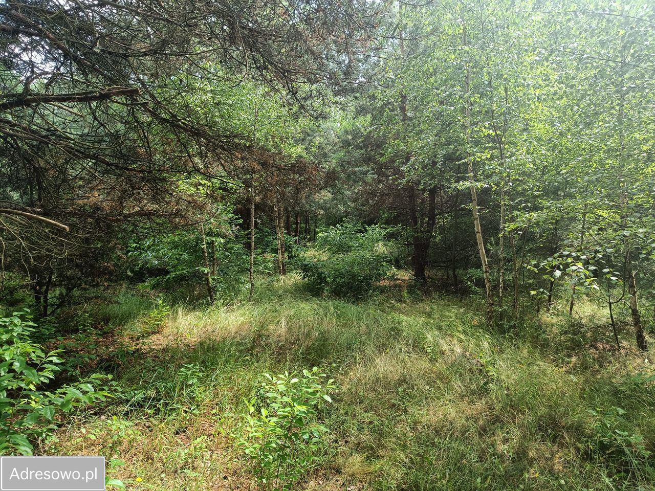 Działka budowlana Ostrowina. Zdjęcie 10