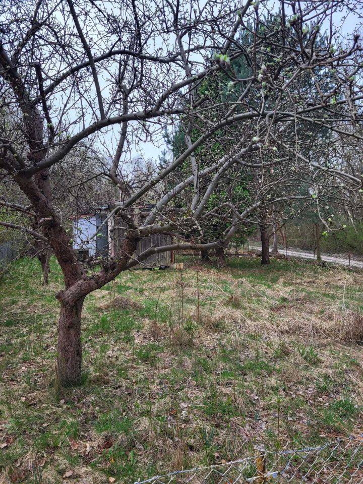 Działka rod Kielce. Zdjęcie 3