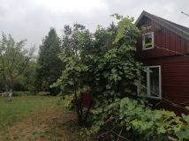 Działka rod Białystok Skorupy. Zdjęcie 2