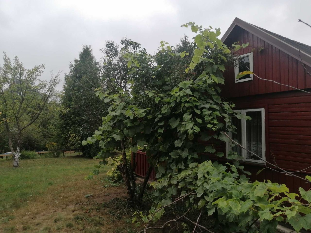 Działka rod Białystok Skorupy. Zdjęcie 3