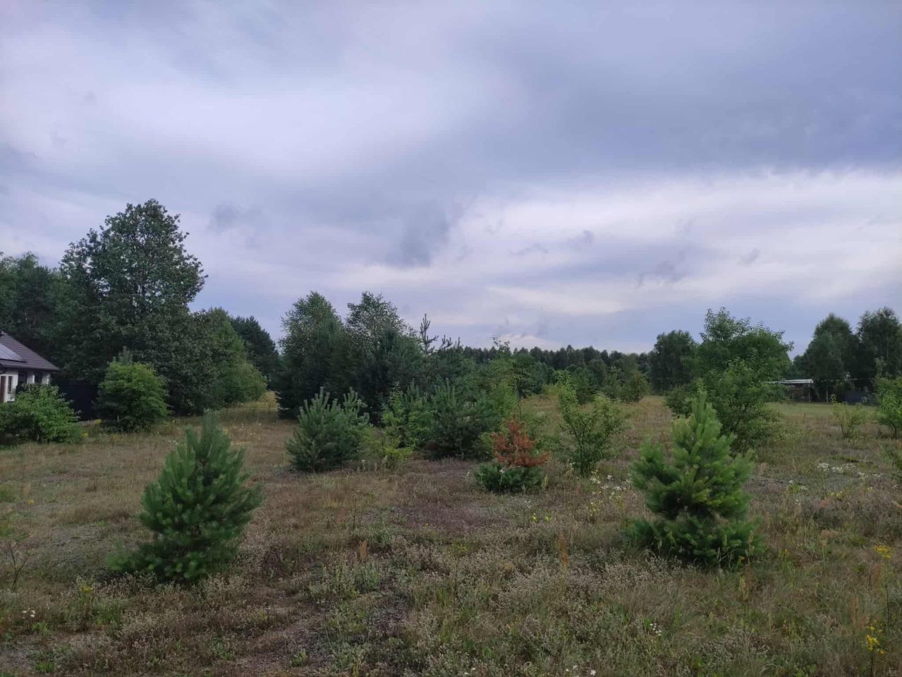 Działka rolno-budowlana Jacentów. Zdjęcie 2