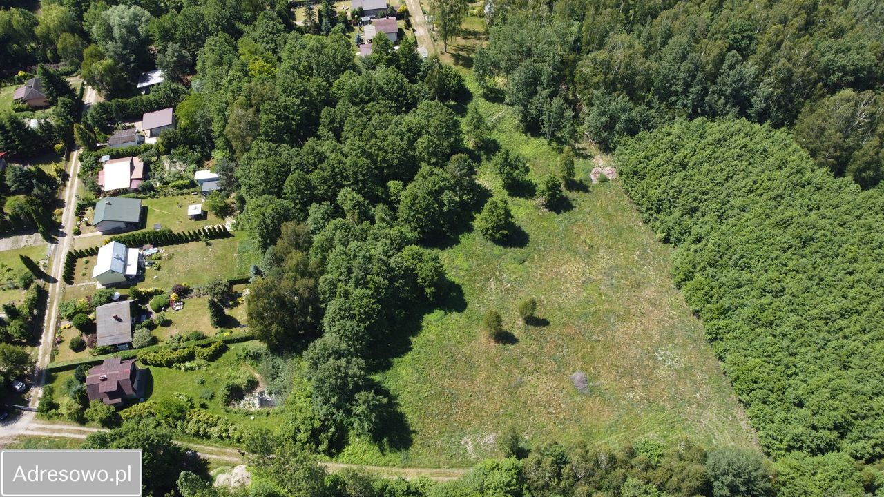 Działka budowlana Chojne. Zdjęcie 4