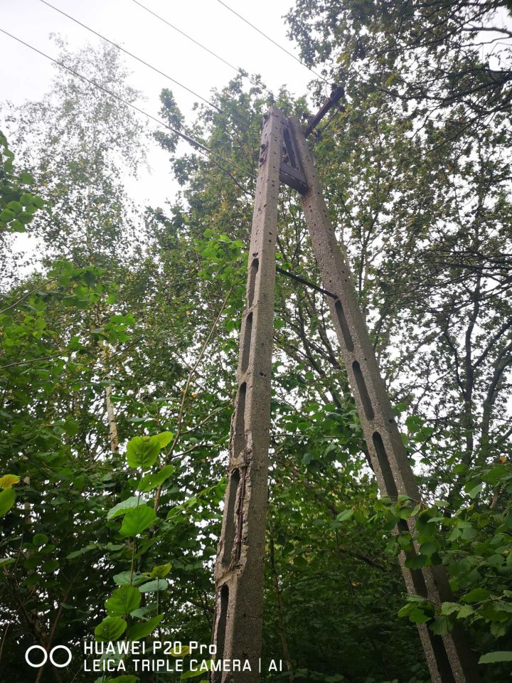 Działka rolno-budowlana Włosań. Zdjęcie 8
