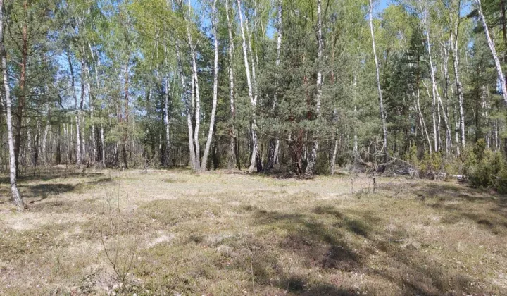 Działka budowlana Łosie, ul. Piotrusia Pana