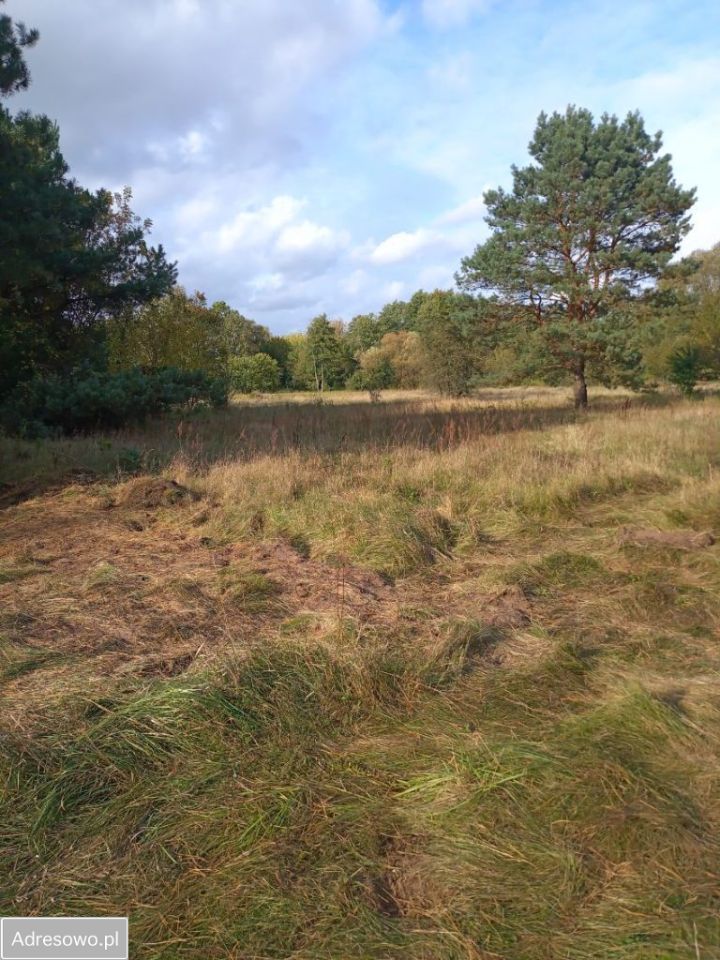 Działka budowlana Kruszówiec. Zdjęcie 1