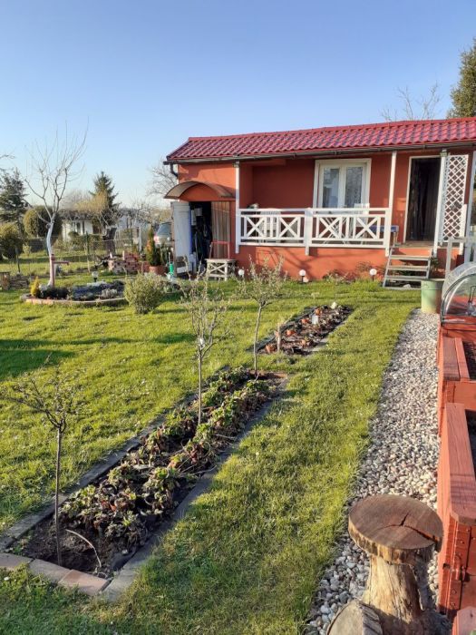 Działka rod Gdańsk Rębiechowo, ul. Nowatorów. Zdjęcie 5