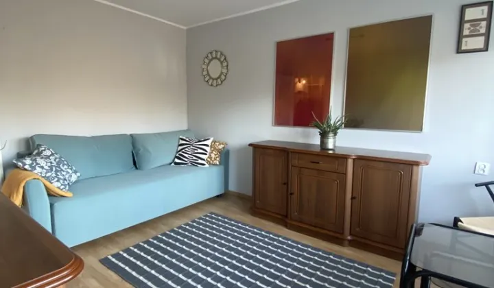 Mieszkanie 1-pokojowe Łódź Śródmieście, ul. Konstytucyjna