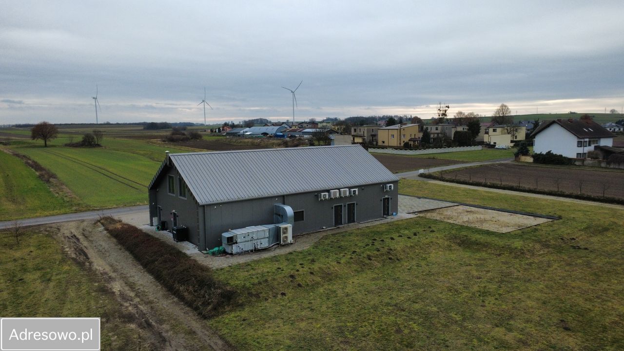 Hala/magazyn Wielowieś, ul. Szafranka. Zdjęcie 9