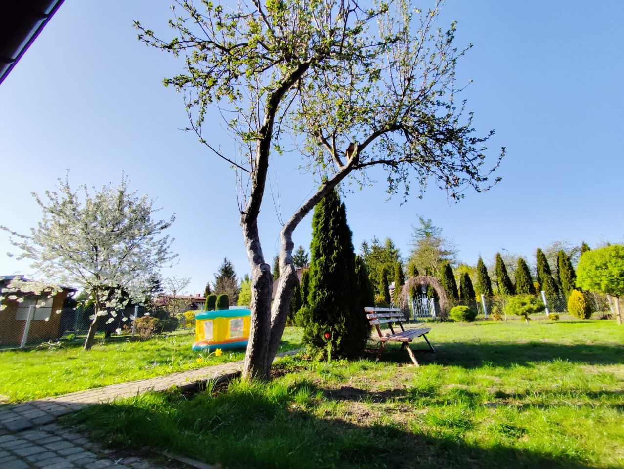 Działka rod Płock, ul. Narodowych Sił Zbrojnych. Zdjęcie 1