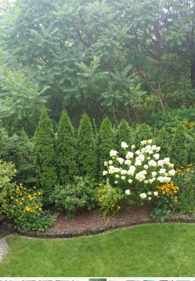 bliźniak, 3 pokoje Skierniewice Feliksów, ul. Szarotek. Zdjęcie 13