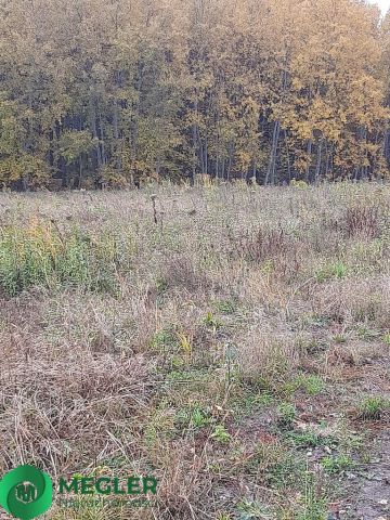 Działka budowlana Rusiec. Zdjęcie 4