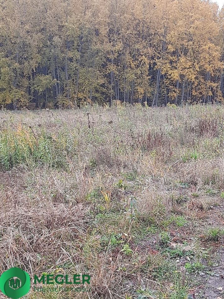 Działka budowlana Rusiec. Zdjęcie 4