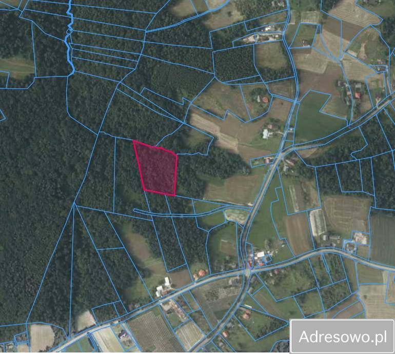 Działka rolna Mierzeń. Zdjęcie 1