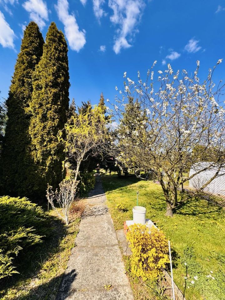 Działka rod Piekary Śląskie. Zdjęcie 8