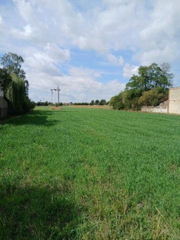 Działka rolno-budowlana Wierzchlas, ul. Wiśniowa. Zdjęcie 3