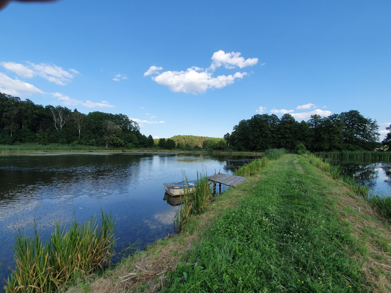 Działka rolna Bledzew Tymiana, ul. Tymiany. Zdjęcie 38