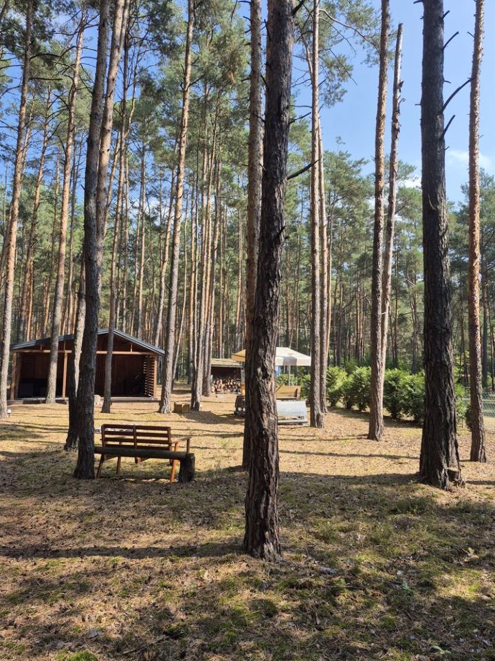 Działka budowlana Kępa Niemojewska. Zdjęcie 2