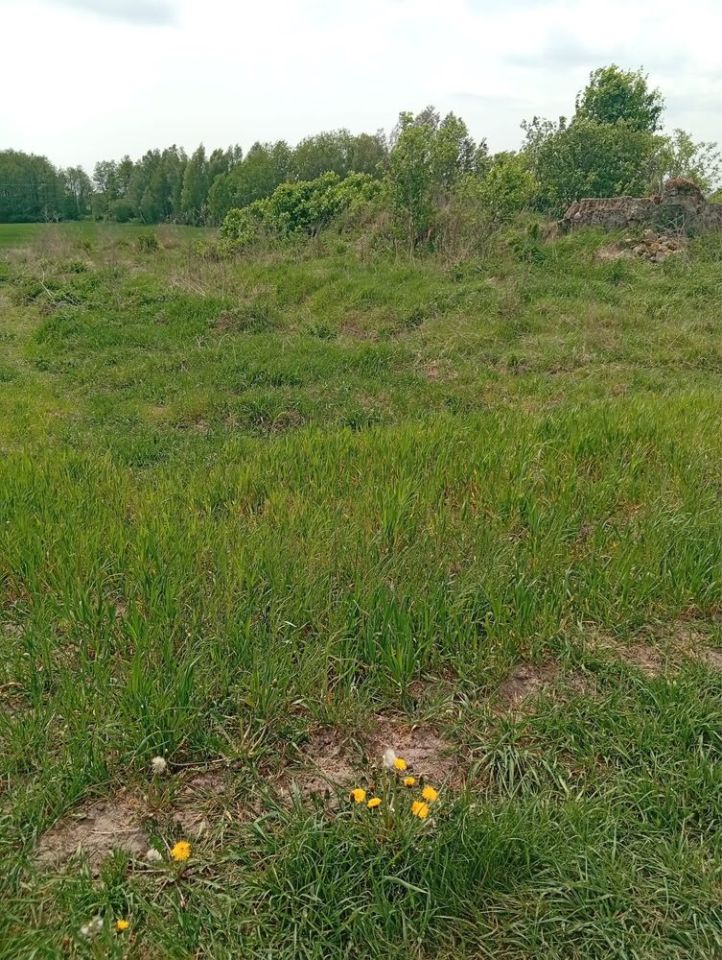 Działka budowlana Osiek. Zdjęcie 3