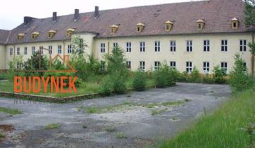 Lokal Żary, ul. Zawiszy Czarnego