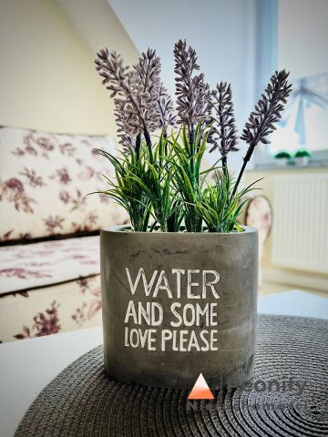 Mieszkanie 1-pokojowe Kamień Pomorski. Zdjęcie 12